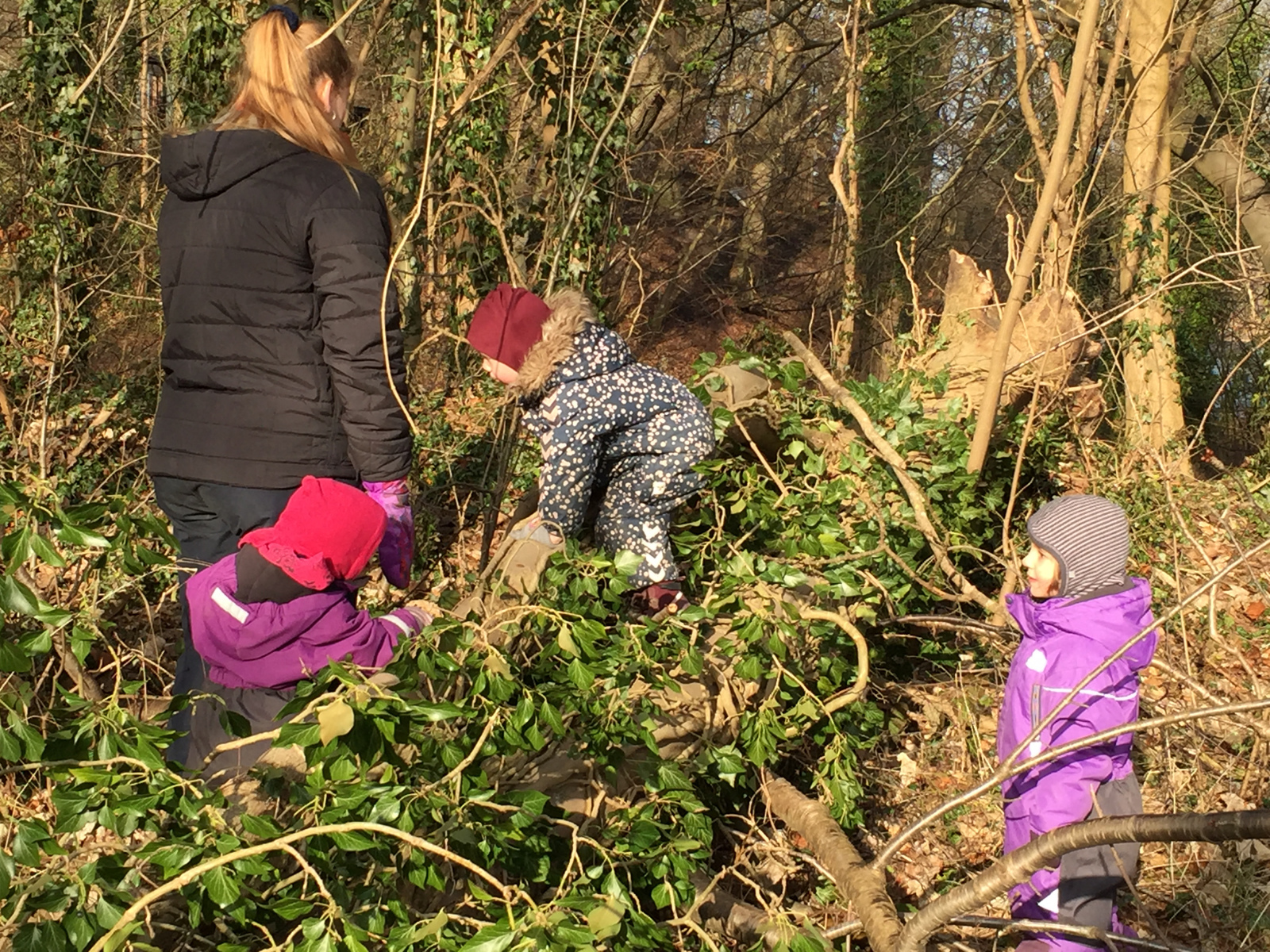 Børn på tur på volden i Nyborg. De klatrer rundt i træer og buske